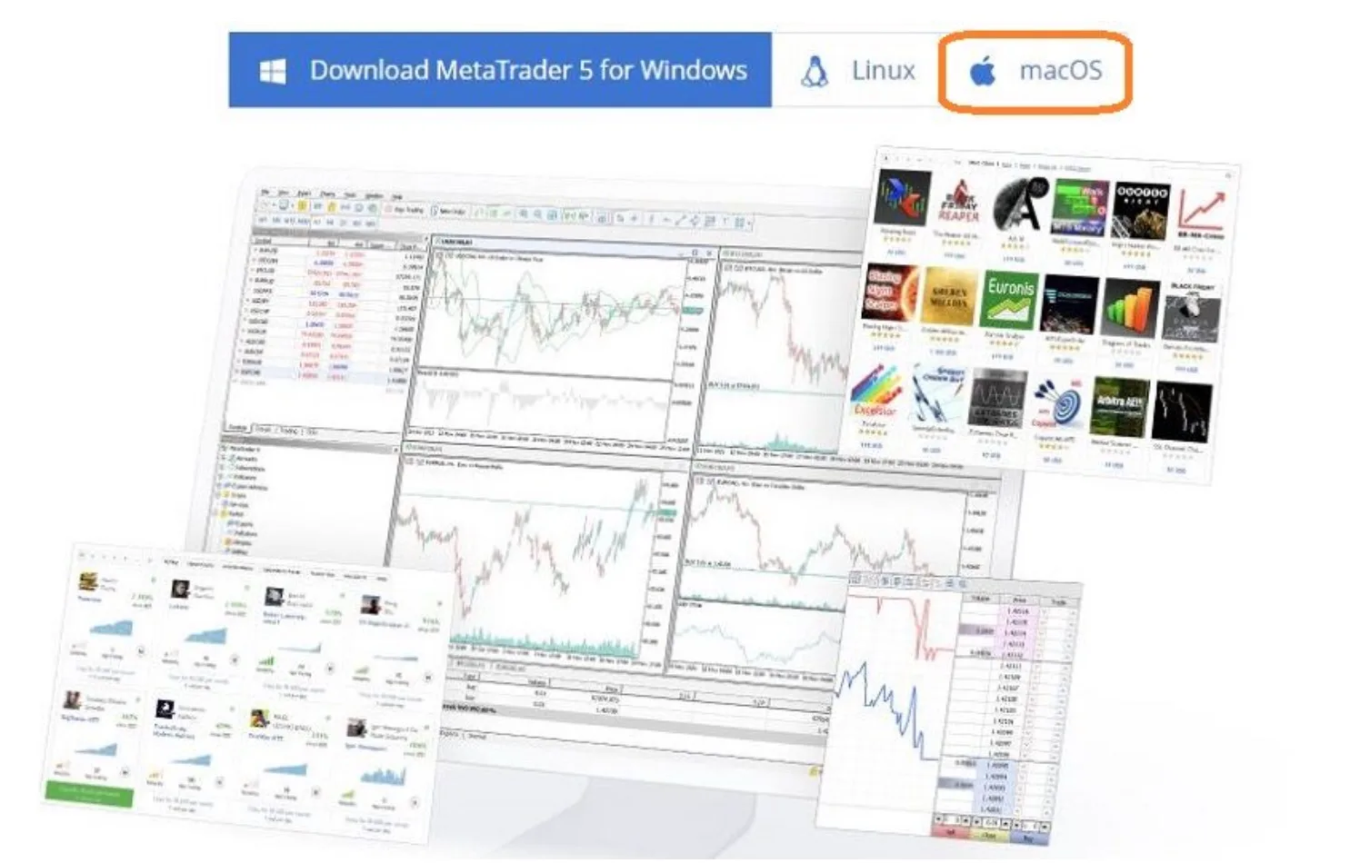 Tải MT5 trên Mac OS